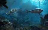 1374511829-underwater-shark