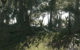 mgstpp_tgs_25_web