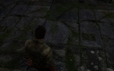 1405866999-36